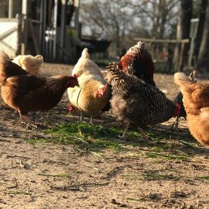 Meet your Posher, Jeremy